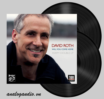 David Roth - will you come home