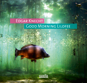 Edgar Knecht - good morning lilofee
