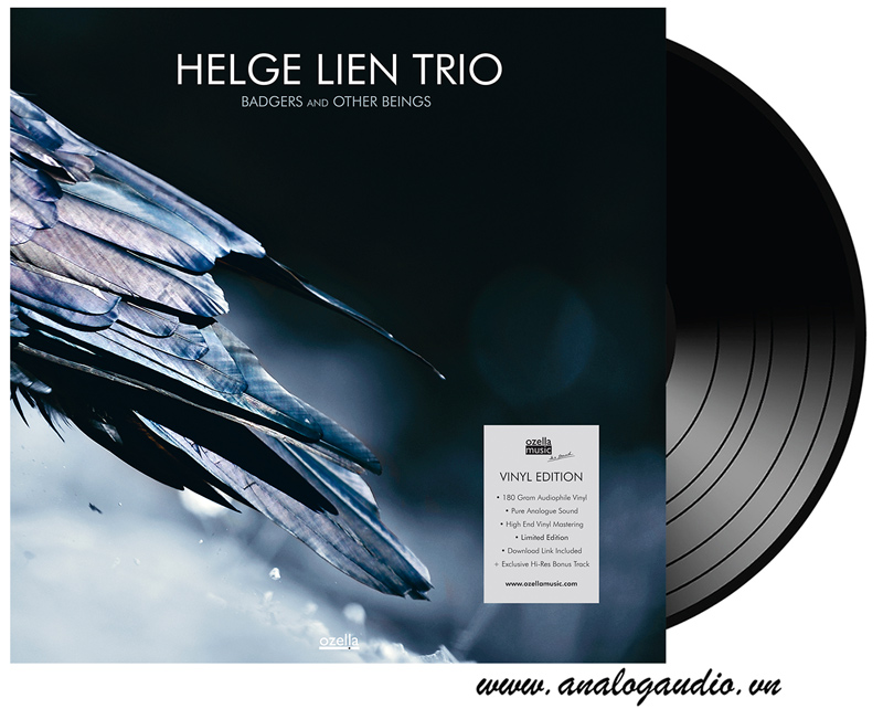 Helge Lion Trio - badgers and other beings